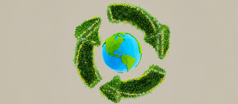Circular Thinking in Action