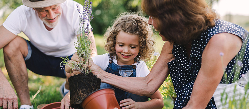 Strengthening our Sustainability Credentials