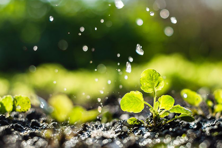 Sustainability Update