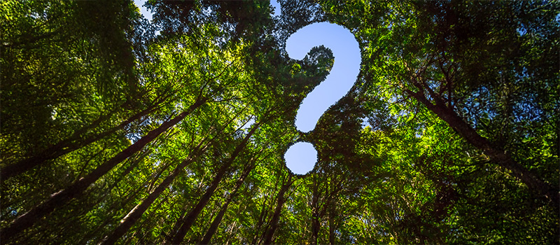 Q & A with Stella Thorndike, Head of Change and Sustainability